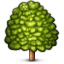 deciduous_tree